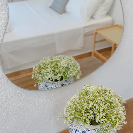 Cleopatra's Backyard