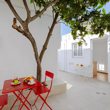 Cleopatra's Backyard