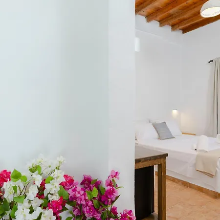 Cleopatra's Backyard