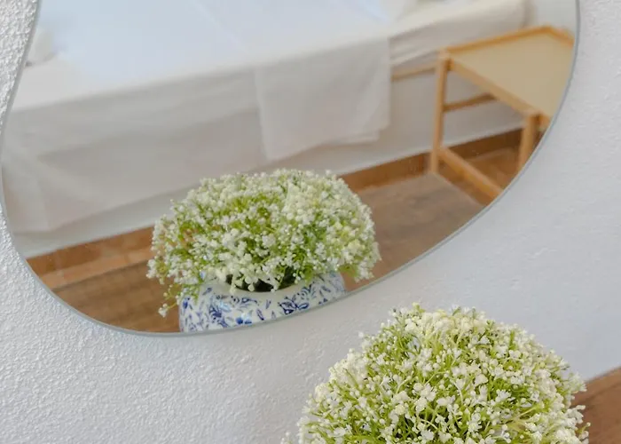 Cleopatra's Backyard