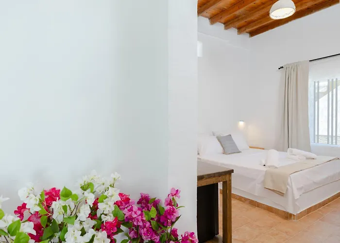 Cleopatra's Backyard